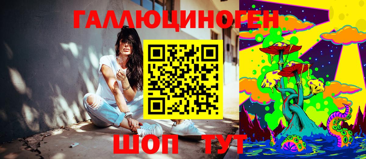 Большой Камень  Псилоцибиновые грибы мицелий  Вход с VPN  Псилоцибиновые грибы прущие грибы 