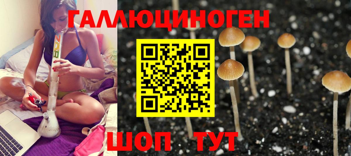 Галлюциногенные грибы GOLDEN TEACHER Большой Камень